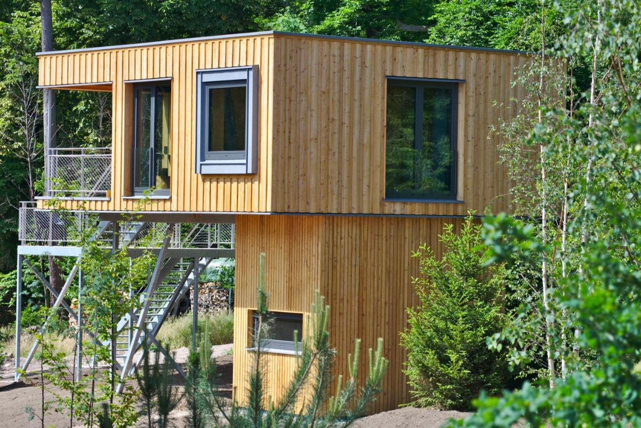 Baumwipfel-Resort "Lug Ins Land" Илзенбург Екстериор снимка